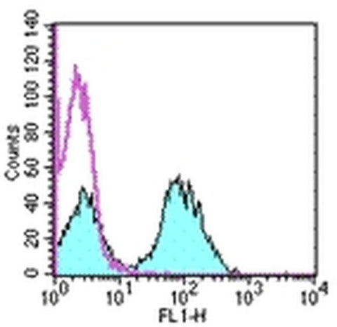 MHC Class II (I-Ek) Monoclonal Antibody (14-4-4S), eBioscience
