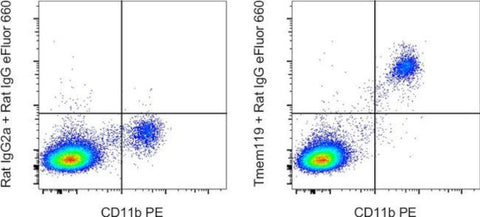 Tmem119 Monoclonal Antibody (V3RT1GOsz), eBioscience