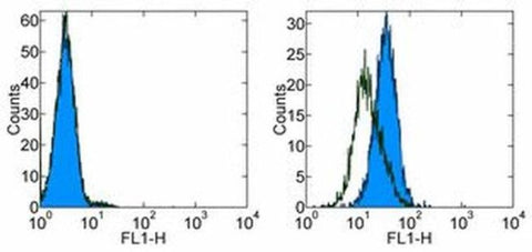 CD254 (RANK Ligand) Monoclonal Antibody (MIH24), eBioscience
