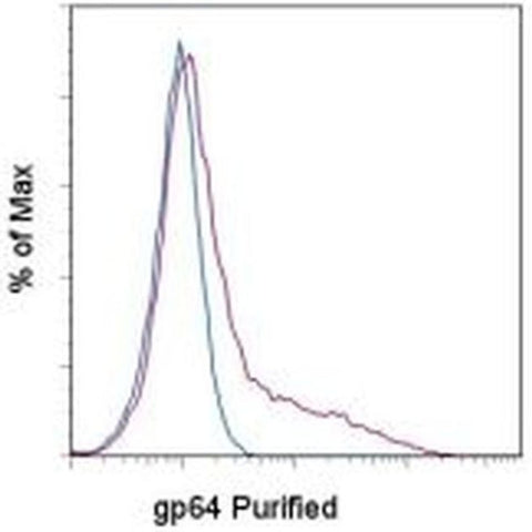 Baculovirus Envelope gp64 Monoclonal Antibody (AcV1), eBioscience