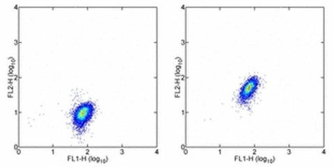 c-Met Monoclonal Antibody (eBioclone 97), eBioscience