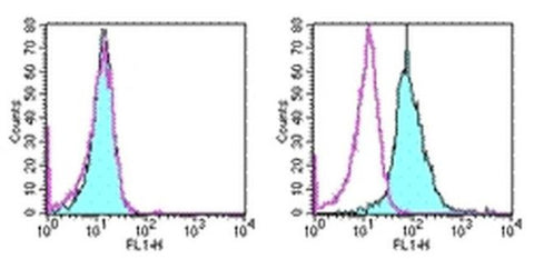 CD266 (TWEAK Receptor) Monoclonal Antibody (ITEM-4), eBioscience