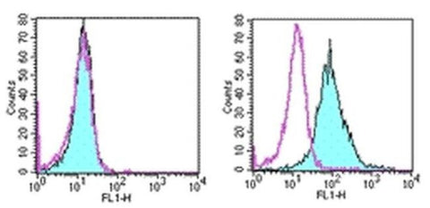 CD266 (TWEAK Receptor) Monoclonal Antibody (ITEM-1), eBioscience