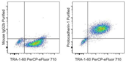 PCDH1 (Protocadherin 1) Monoclonal Antibody (CSTEM31), eBioscience