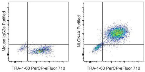 NLGN4X (Neuroligin-4) Monoclonal Antibody (CSTEM30), eBioscience