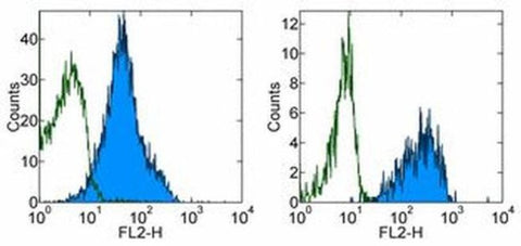 CD321 (F11R) Monoclonal Antibody (WK9), eBioscience
