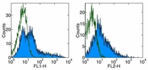 CD278 (ICOS) Monoclonal Antibody (ISA-3), eBioscience