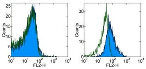 MHC I Free Chain Monoclonal Antibody (A4), eBioscience