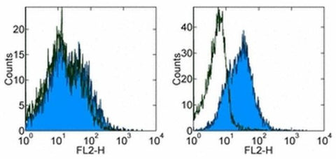 CD279 (PD-1) Monoclonal Antibody (RMP1-30), eBioscience