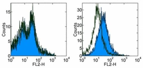 CD279 (PD-1) Monoclonal Antibody (J43), eBioscience