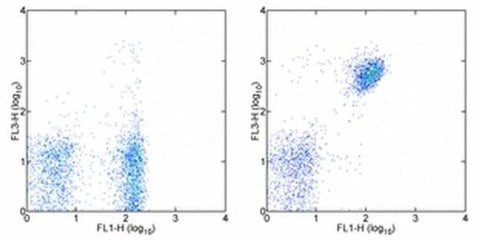 CD19 Monoclonal Antibody (eBio1D3 (1D3)), PE-Cyanine5, eBioscience