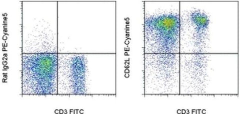 CD62L (L-Selectin) Monoclonal Antibody (MEL-14), PE-Cyanine5, eBioscience