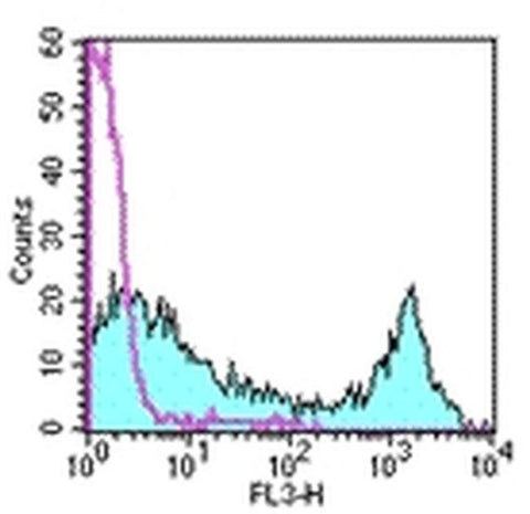 CD90.2 (Thy-1.2) Monoclonal Antibody (53-2.1), PE-Cyanine5, eBioscience