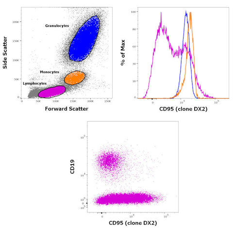 CD95 (APO-1/Fas) Monoclonal Antibody (DX2), PE-Cyanine5, eBioscience