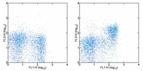 CD127 Monoclonal Antibody (A7R34), PE-Cyanine5, eBioscience
