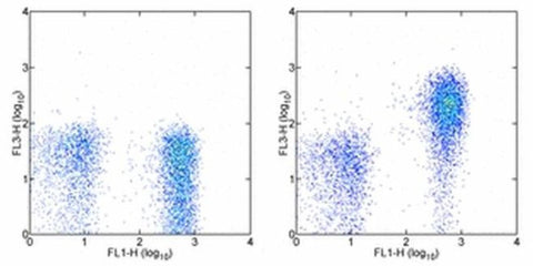 CD127 Monoclonal Antibody (eBioRDR5), PE-Cyanine5, eBioscience