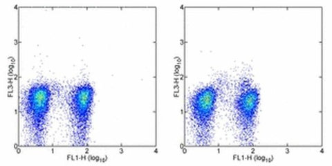 FOXP3 Monoclonal Antibody (PCH101), PE-Cyanine5, eBioscience