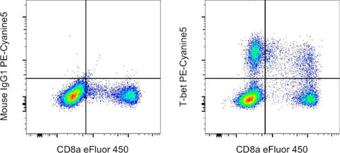 T-bet Monoclonal Antibody (eBio4B10 (4B10)), PE-Cyanine5, eBioscience