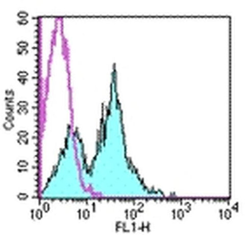 CD1d Monoclonal Antibody (1B1), Functional Grade, eBioscience
