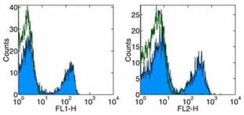 CD3e Monoclonal Antibody (145-2C11), Functional Grade, eBioscience