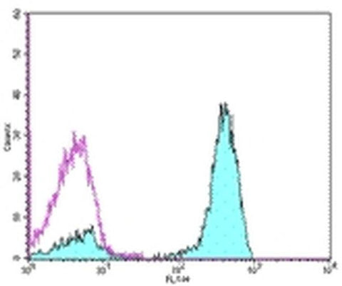 CD3 Monoclonal Antibody (OKT3), Functional Grade, eBioscience