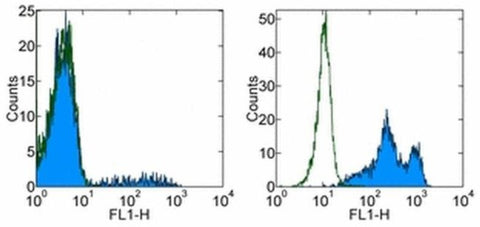 CD16 Monoclonal Antibody (eBioCB16 (CB16)), Functional Grade, eBioscience