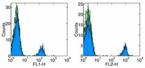 CD19 Monoclonal Antibody (HIB19), Functional Grade, eBioscience