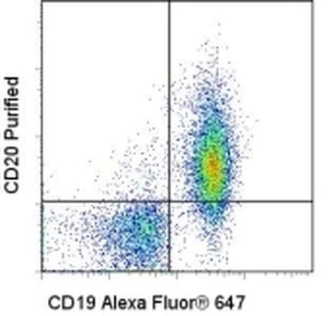 CD20 Monoclonal Antibody (AISB12), Functional Grade, eBioscience