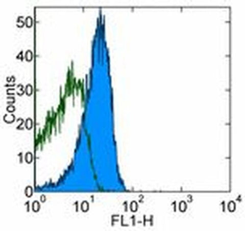 CD28 Monoclonal Antibody (37.51), Functional Grade, eBioscience