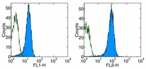 CD31 (PECAM-1) Monoclonal Antibody (390), Functional Grade, eBioscience