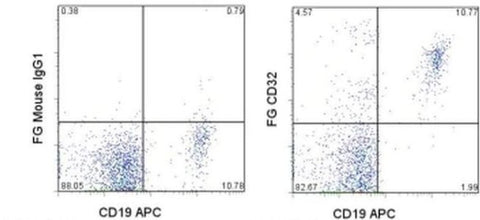 CD32 Monoclonal Antibody (6C4 (CD32)), Functional Grade, eBioscience