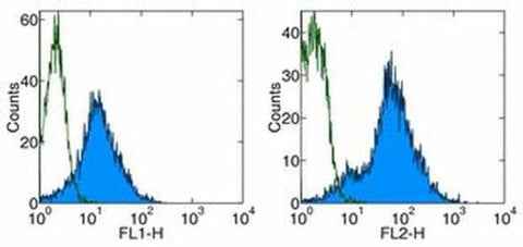 CD54 (ICAM-1) Monoclonal Antibody (YN1/1.7.4), Functional Grade, eBioscience