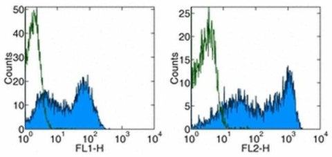 CD62L (L-Selectin) Monoclonal Antibody (MEL-14), Functional Grade, eBioscience
