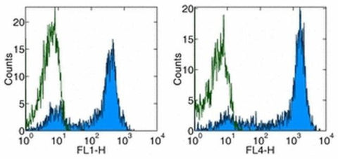 CD62L (L-Selectin) Monoclonal Antibody (DREG-56 (DREG56)), Functional Grade, eBioscience