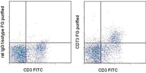 CD73 Monoclonal Antibody (eBioTY/11.8 (TY/11.8)), Functional Grade, eBioscience
