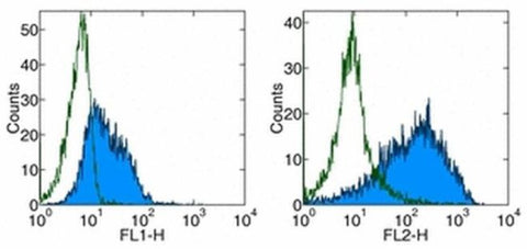 CD80 (B7-1) Monoclonal Antibody (16-10A1), Functional Grade, eBioscience