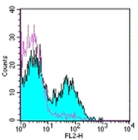 CD154 (CD40 Ligand) Monoclonal Antibody (MR1), Functional Grade, eBioscience