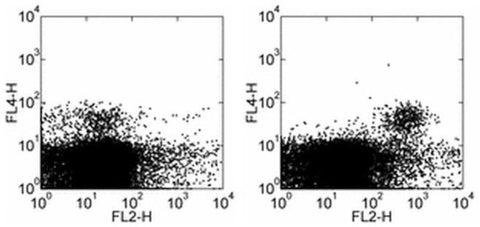 CD314 (NKG2D) Monoclonal Antibody (C7), Functional Grade, eBioscience