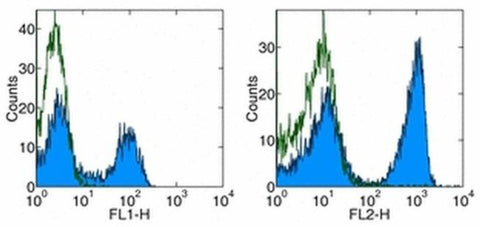 TCR beta Monoclonal Antibody (H57-597), Functional Grade, eBioscience