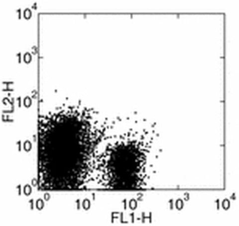 CD275 (B7-H2) Monoclonal Antibody (HK5.3), Functional Grade, eBioscience