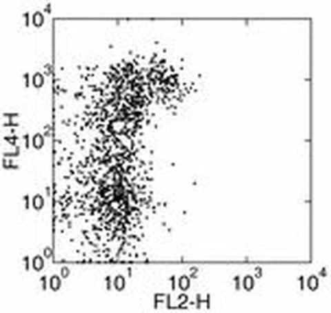 CD202b (TIE2) Monoclonal Antibody (TEK4), Functional Grade, eBioscience