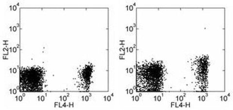 CD267 (TACI) Monoclonal Antibody (11H3), Functional Grade, eBioscience