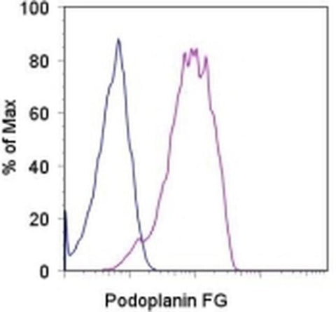 Podoplanin Monoclonal Antibody (NZ-1.3), Functional Grade, eBioscience