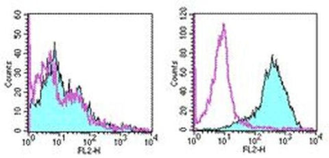 CD278 (ICOS) Monoclonal Antibody (7E.17G9), Functional Grade, eBioscience