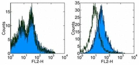 CD279 (PD-1) Monoclonal Antibody (J43), Functional Grade, eBioscience