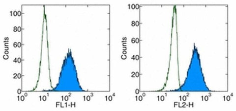CD279 (PD-1) Monoclonal Antibody (J116), Functional Grade, eBioscience