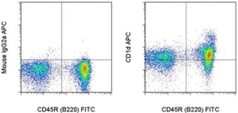 CD1d Monoclonal Antibody (WTH-2), APC, eBioscience