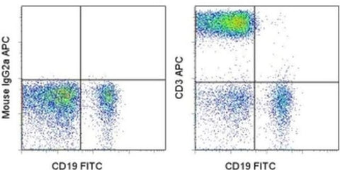 CD3 Monoclonal Antibody (OKT3), APC, eBioscience
