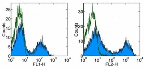 CD5 Monoclonal Antibody (53-7.3), APC, eBioscience