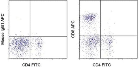 CD8a Monoclonal Antibody (OX8), APC, eBioscience